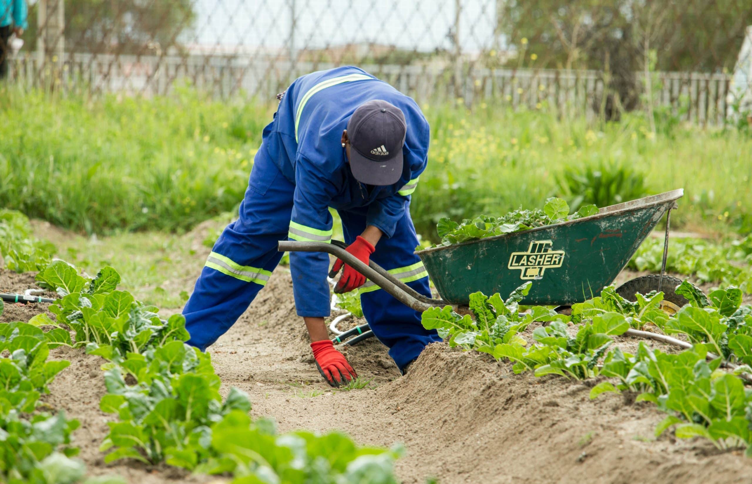 Devenir jardinier-paysagiste en micro-entreprise