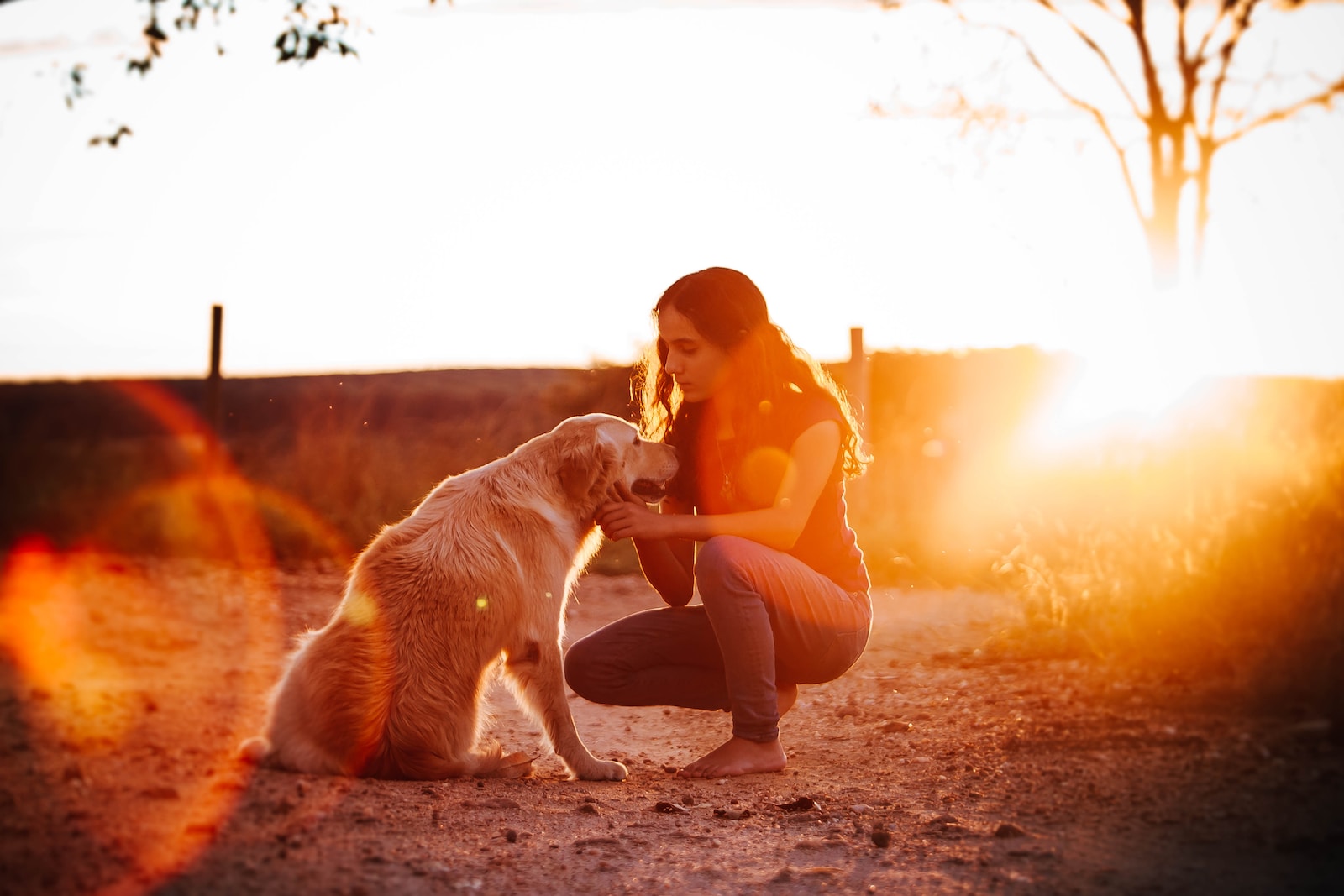 Devenir vendeur d'animaux en micro-entreprise
