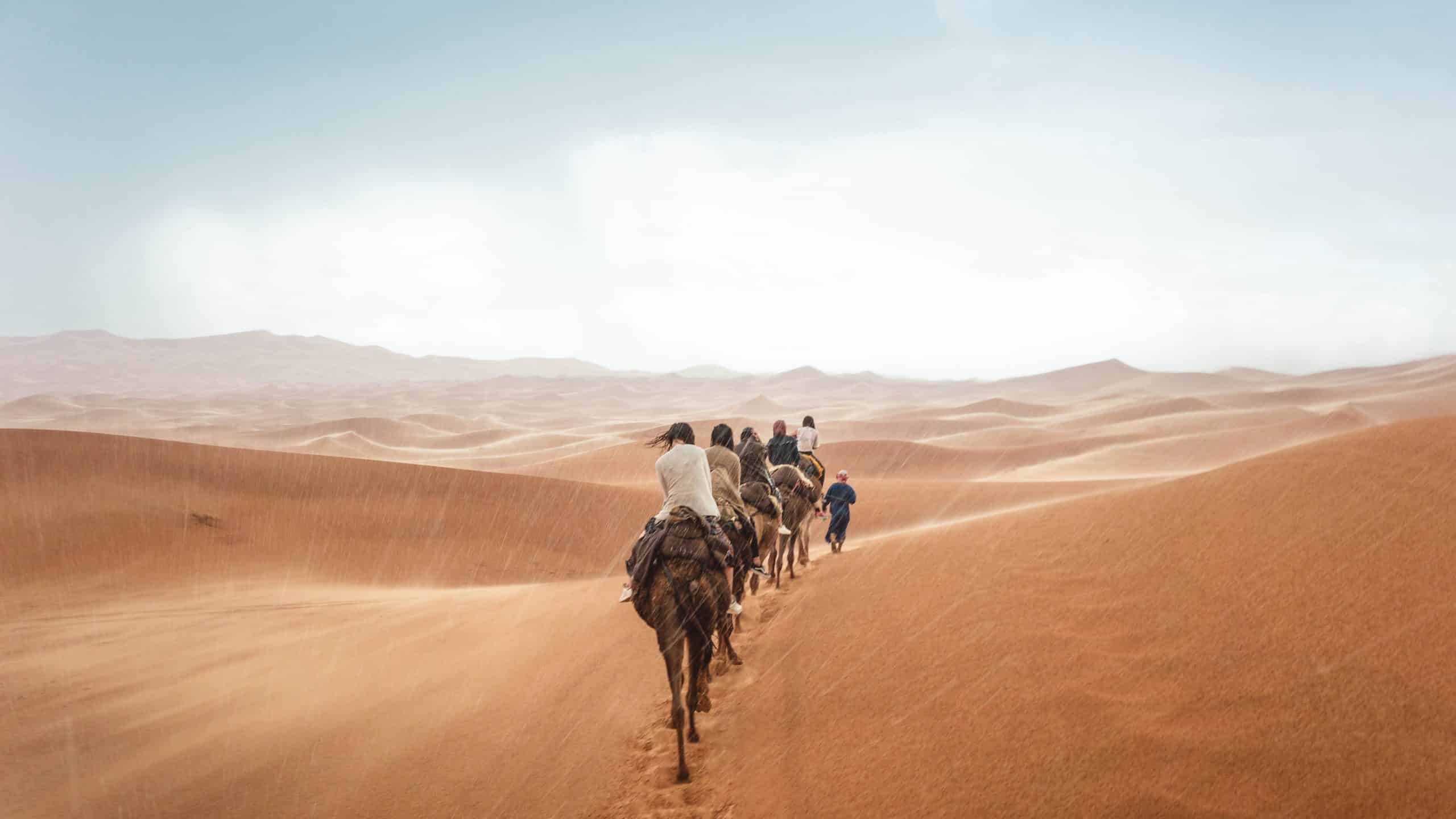 Devenir guide touristique en micro-entreprise