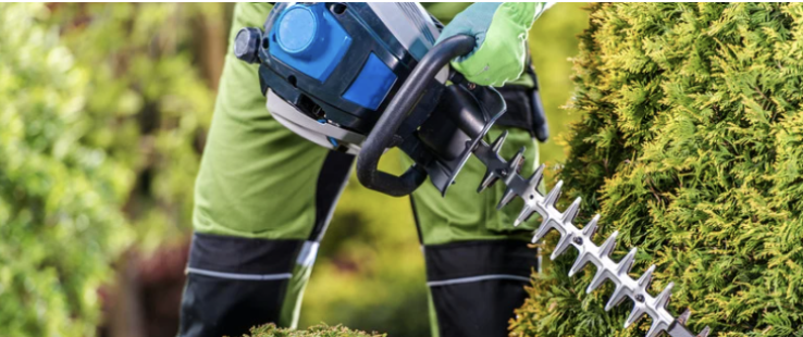 Micro-entrepreneur jardinier : proposez le crédit d'impôt SAP à vos clients !