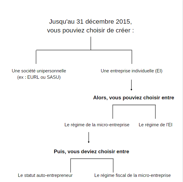 micro-entreprise ou auto-entreprise